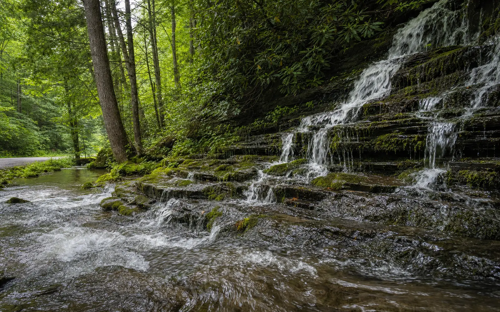 Wolf Creek spilling over mossy ledges in a shaded hollow beside a narrow road, AI-generated illustration