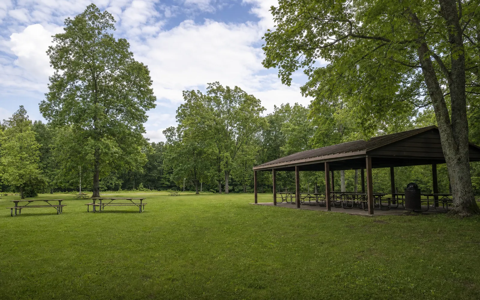 A big mown lawn with picnic tables and an open picnic shelter under tall oaks at the Grandview rim area, AI-generated illustration