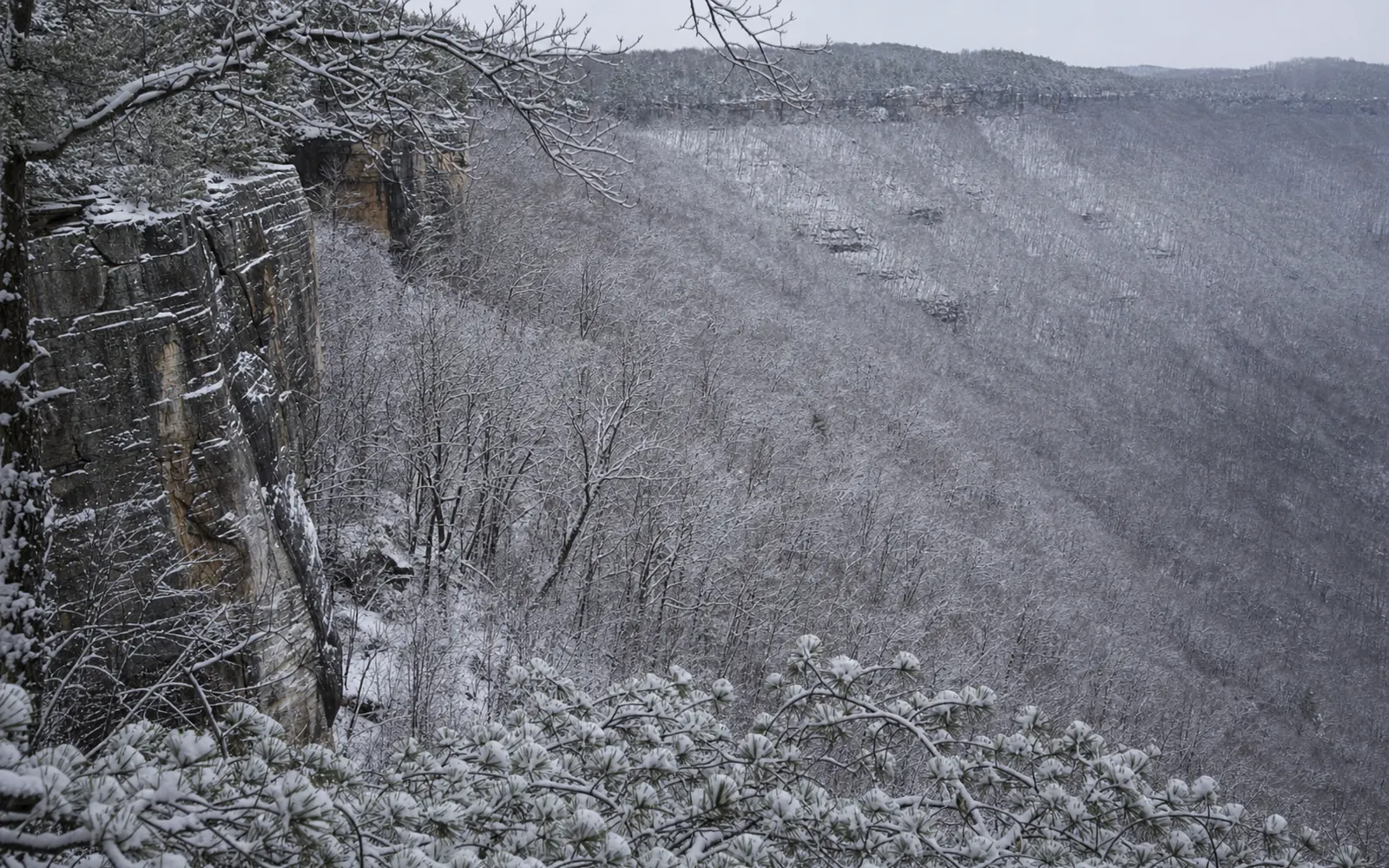 The Endless Wall in winter, the long sandstone cliff line with snow on its ledges above a grey-brown leafless forest, AI-generated illustration