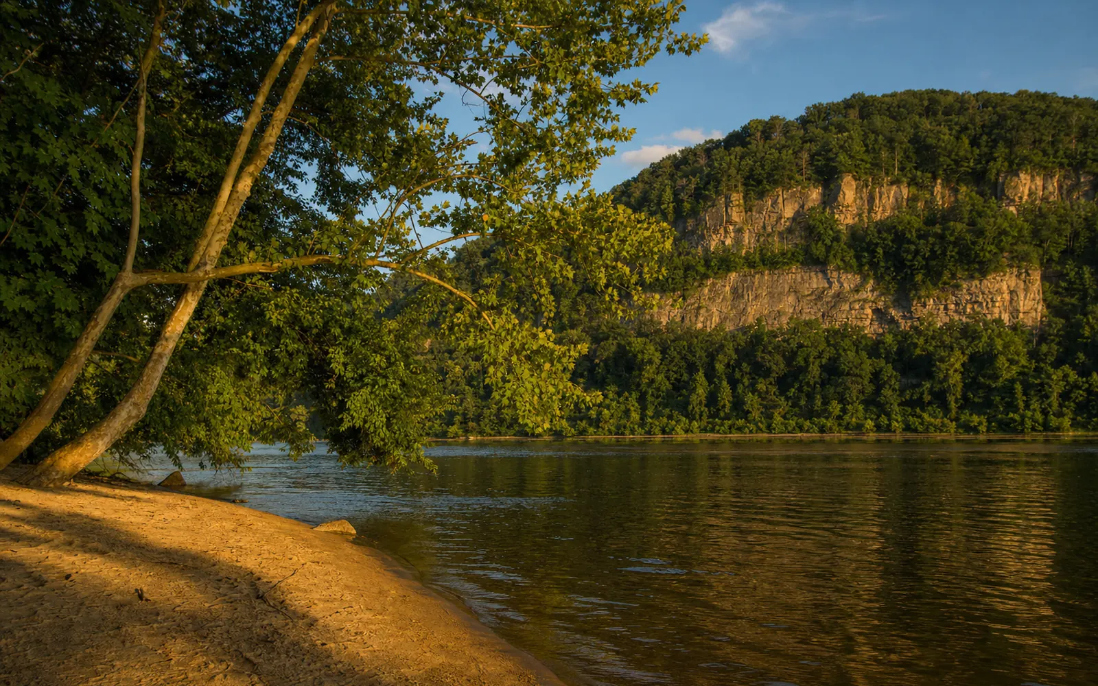 A sandy shoreline on the Upper New River on a summer evening, calm wide river, sycamores leaning over the water, forested hills, AI-generated illustration