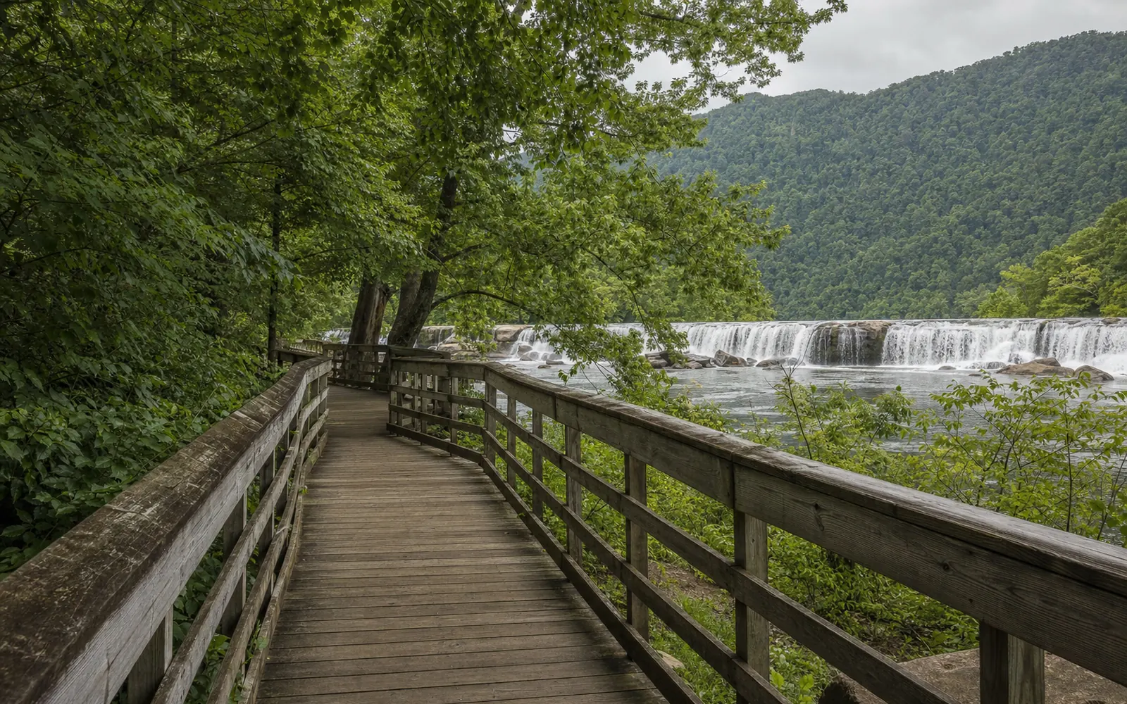 The Sandstone Falls boardwalk crossing between wooded islands, timber walkway with railings, river channels on both sides, summer green, AI-generated illustration