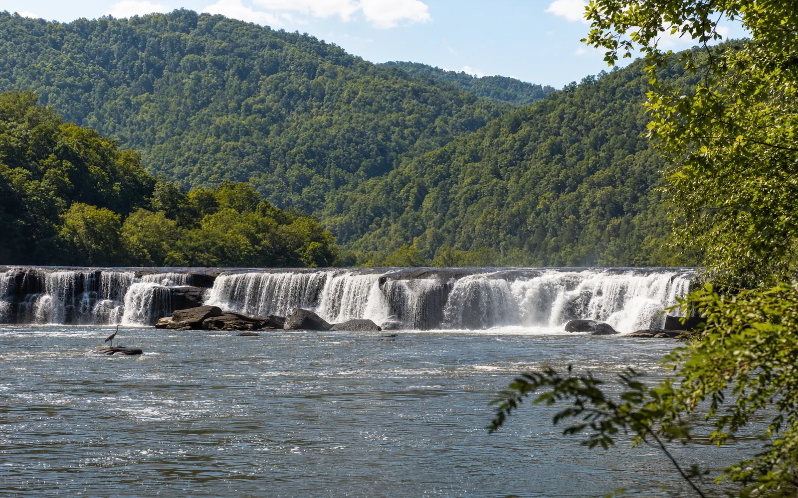 Sandstone Falls at moderate summer water, the river-wide ledge drops, a great blue heron standing on a rock, wooded islands, AI-generated illustration