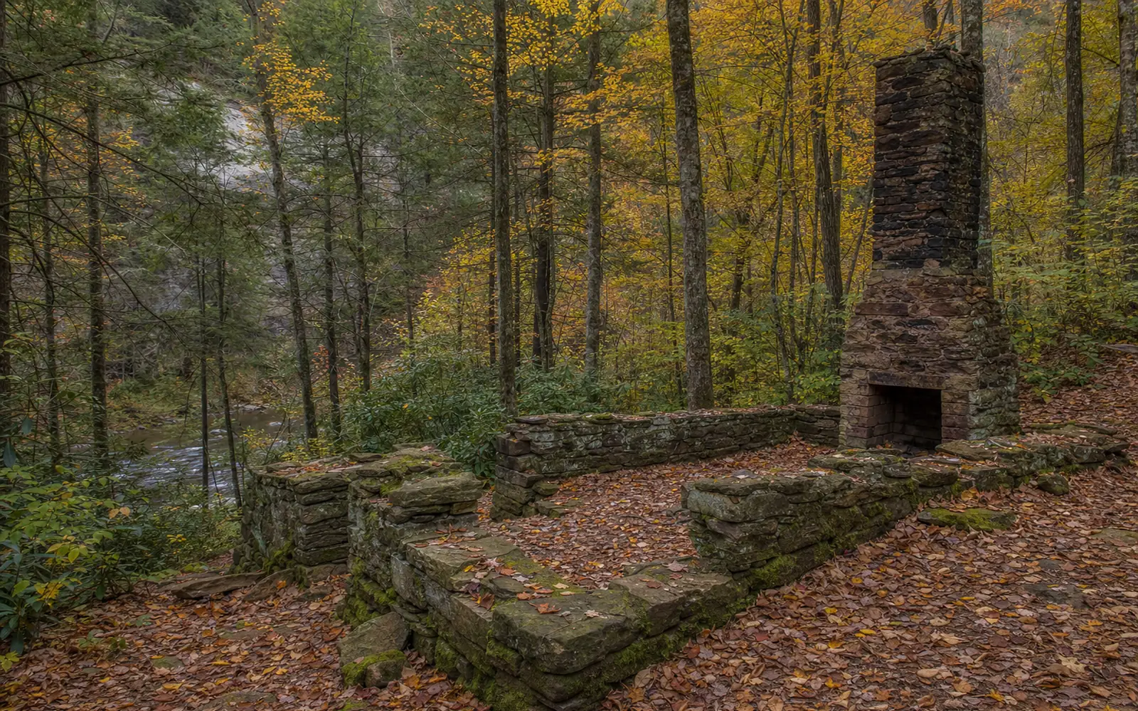 Stone foundations and a lone chimney of a vanished coal-camp house in second-growth forest, AI-generated illustration