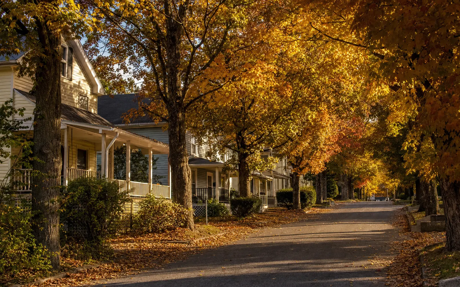 Maple Avenue in autumn, old frame houses with porches under blazing sugar maples, AI-generated illustration