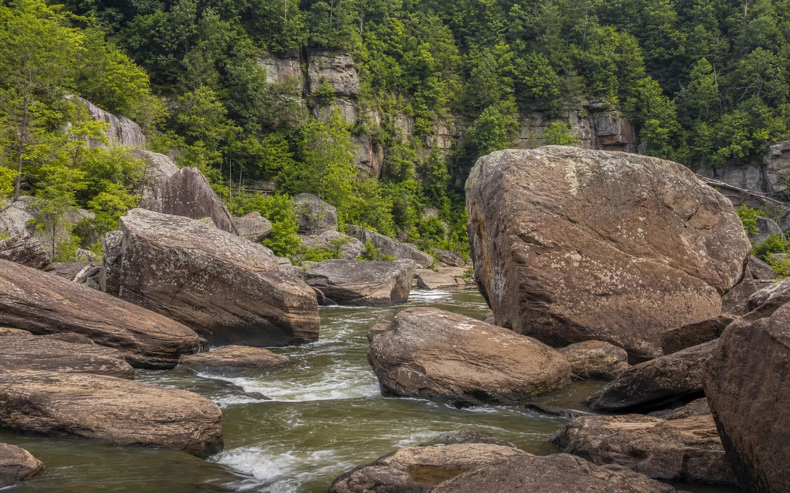 A field of house-sized sandstone boulders at the edge of the Lower New River, water swirling between them, gorge walls behind, AI-generated illustration