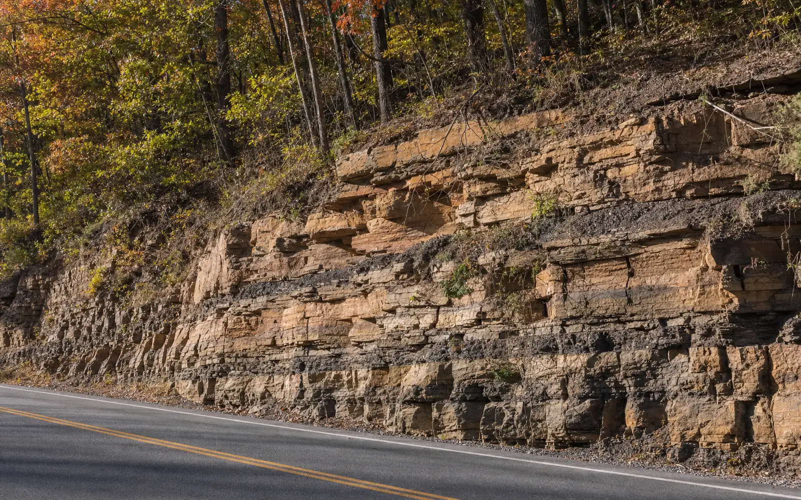 Exposed horizontal sandstone and shale layers in a highway road cut, trees on top, AI-generated illustration