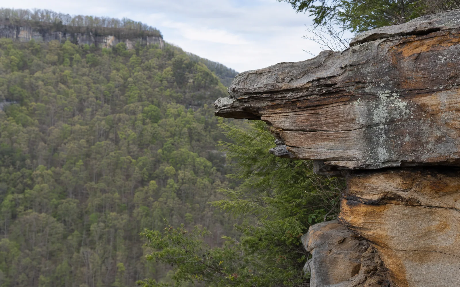 A close view of the layered Nuttall sandstone cliff band at Endless Wall, with cross-bedding, iron staining and lichen, the gorge out of focus behind, AI-generated illustration
