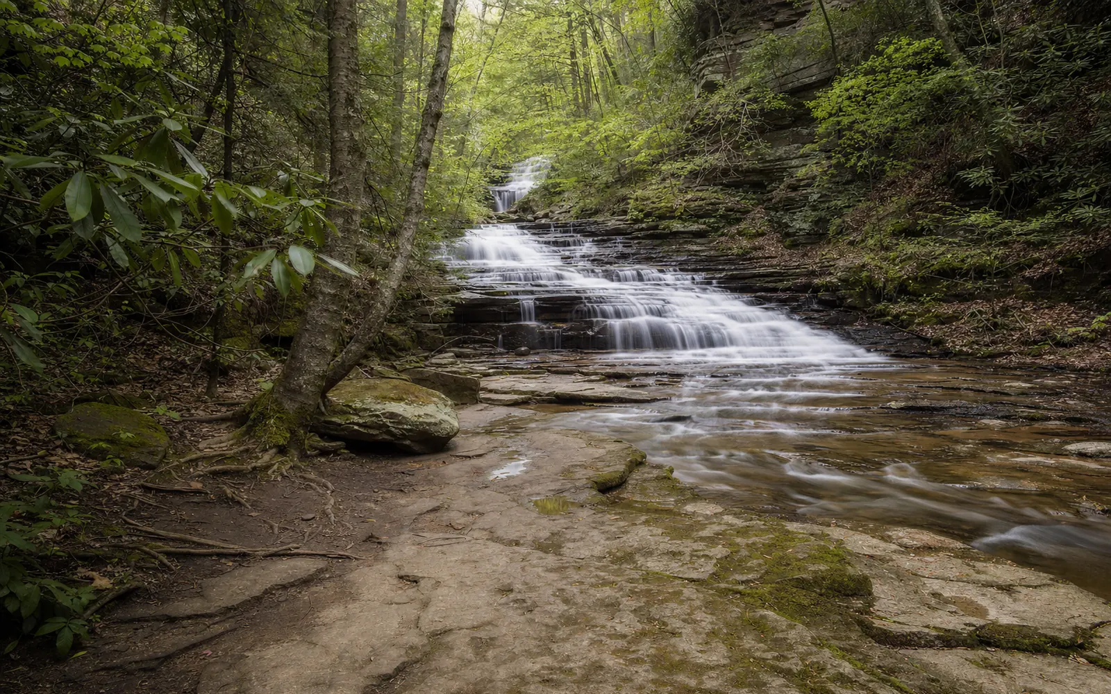 Big Branch Falls, a series of stepped cascades in a hemlock ravine, AI-generated illustration