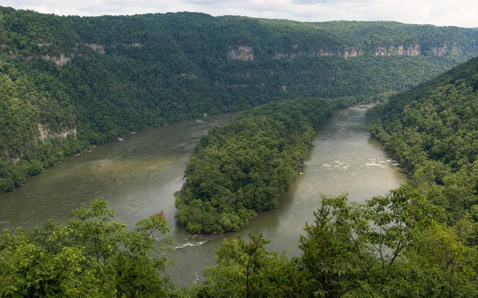 Brooks Island from its overlook, a long wooded island in the middle of the wide New River with forested gorge walls beyond, AI-generated illustration