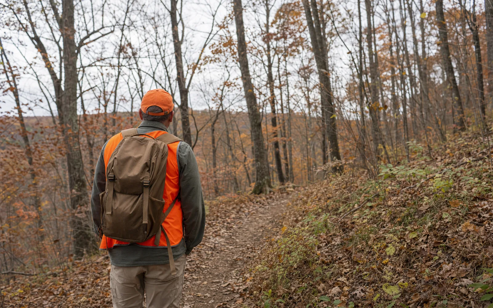 An adult hiker in a blaze-orange vest on a woodland trail in late autumn, AI-generated illustration