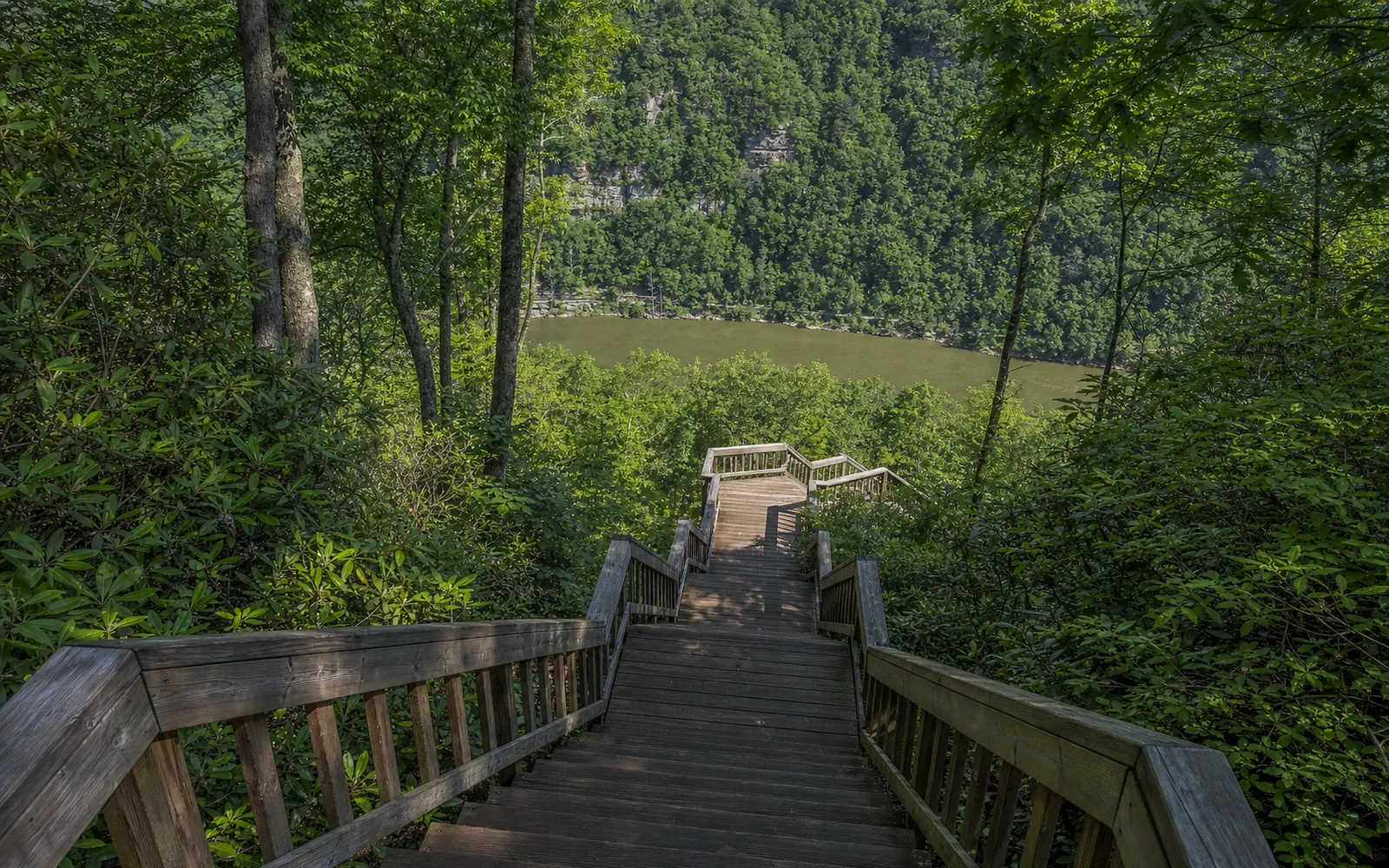 A long wooden staircase with handrails descending through rhododendron and hardwood forest toward a railed overlook platform above a wide brown river and wooded cliffs, AI-generated illustration