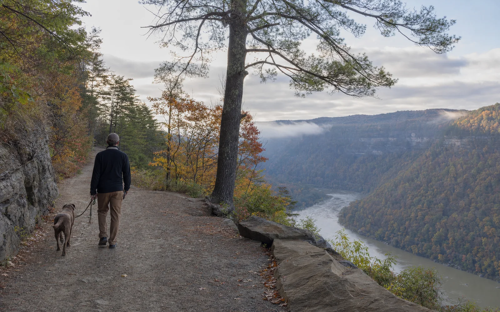 An adult walking a brown dog on a leash along a wide gravel rim trail beside a rock wall, a pine at the edge and a misty river gorge in fall color below, AI-generated illustration