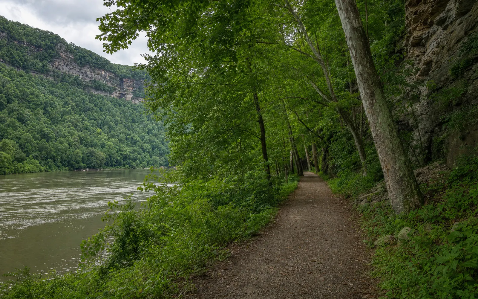 A flat, easy riverside path on an old railroad grade under sycamores, the calm New River at left, AI-generated illustration