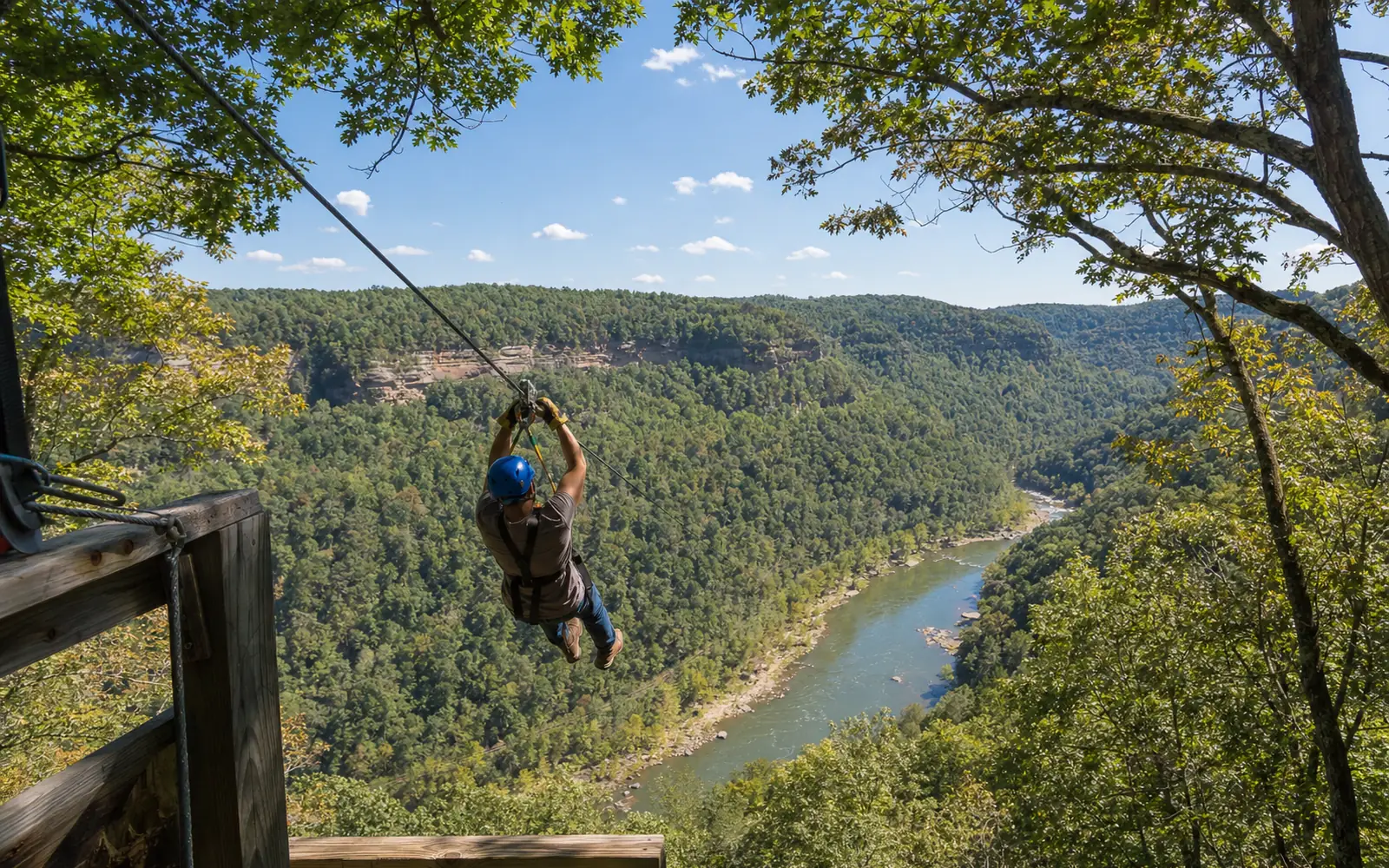 An adult in a harness riding a zipline between tall oak trees high above the forest floor, AI-generated illustration