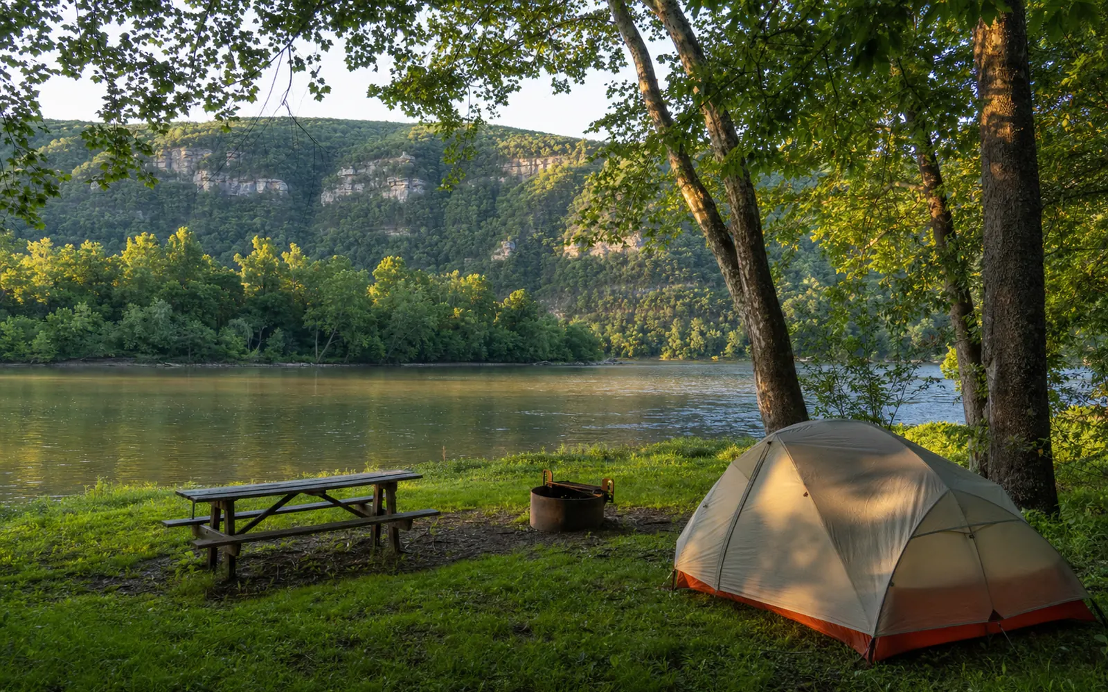 A flat grassy riverside campsite with one tent under big sycamores, a picnic table and fire ring, the wide calm New River beyond, AI-generated illustration