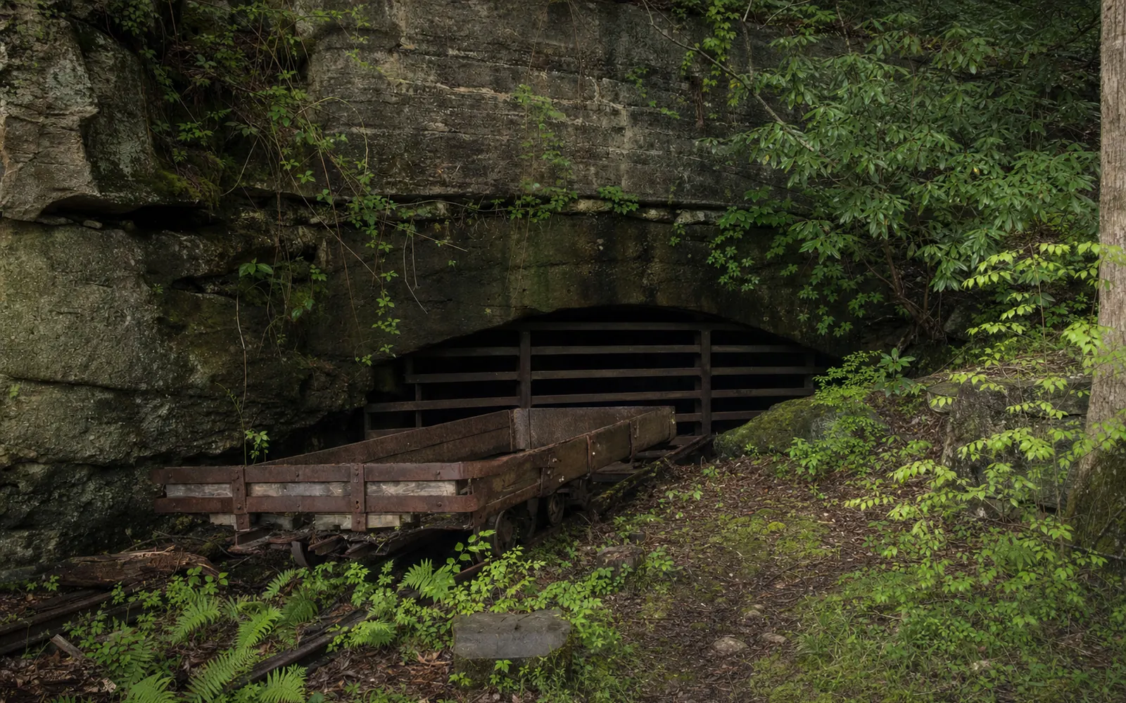 A rusted wooden and iron mine car on old rails before a barred mine portal in a mossy sandstone cliff, ferns and rhododendron growing around it, AI-generated illustration
