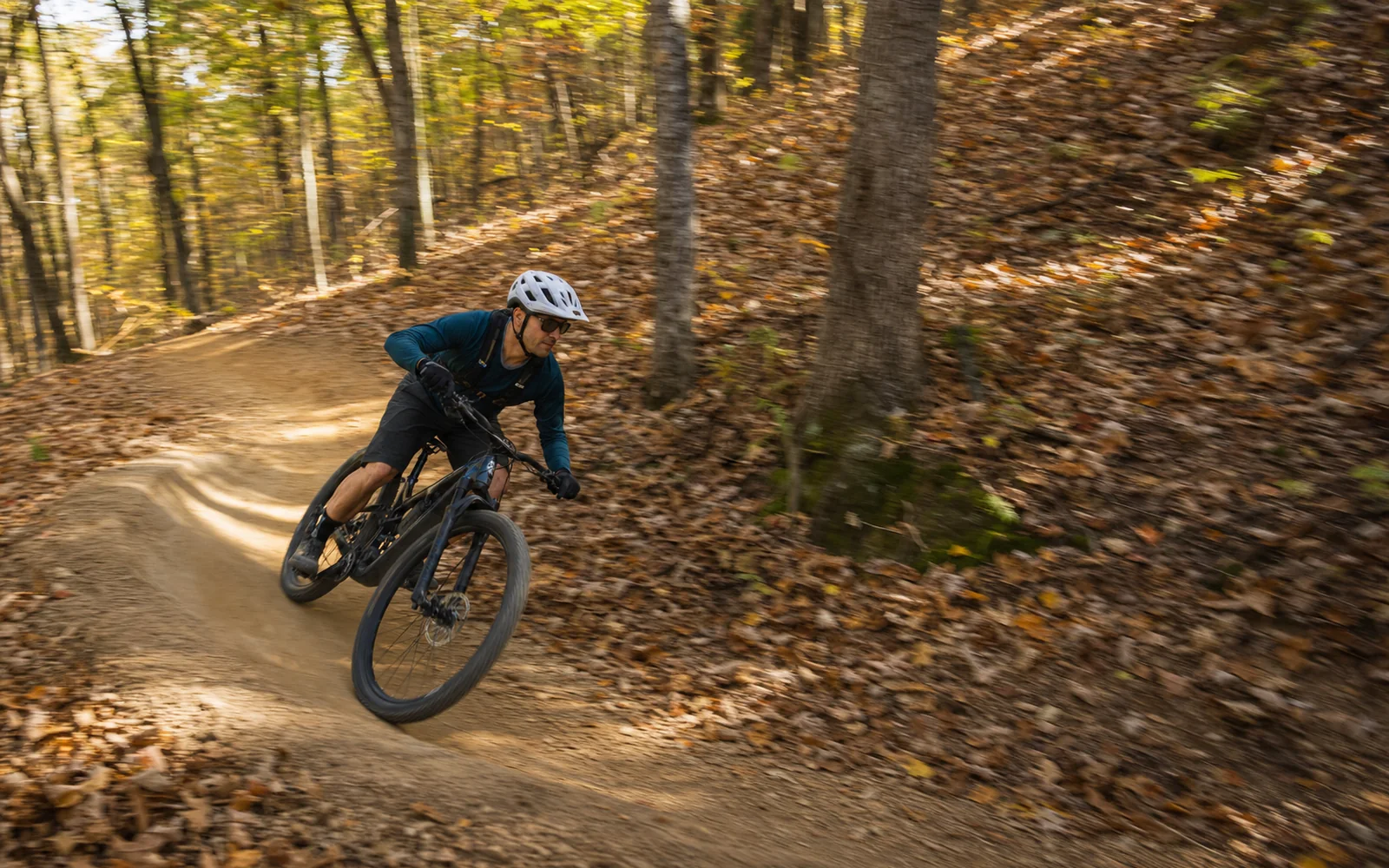 An adult mountain biker rides a flowing, bermed singletrack through open hardwood forest covered in leaf litter, AI-generated illustration