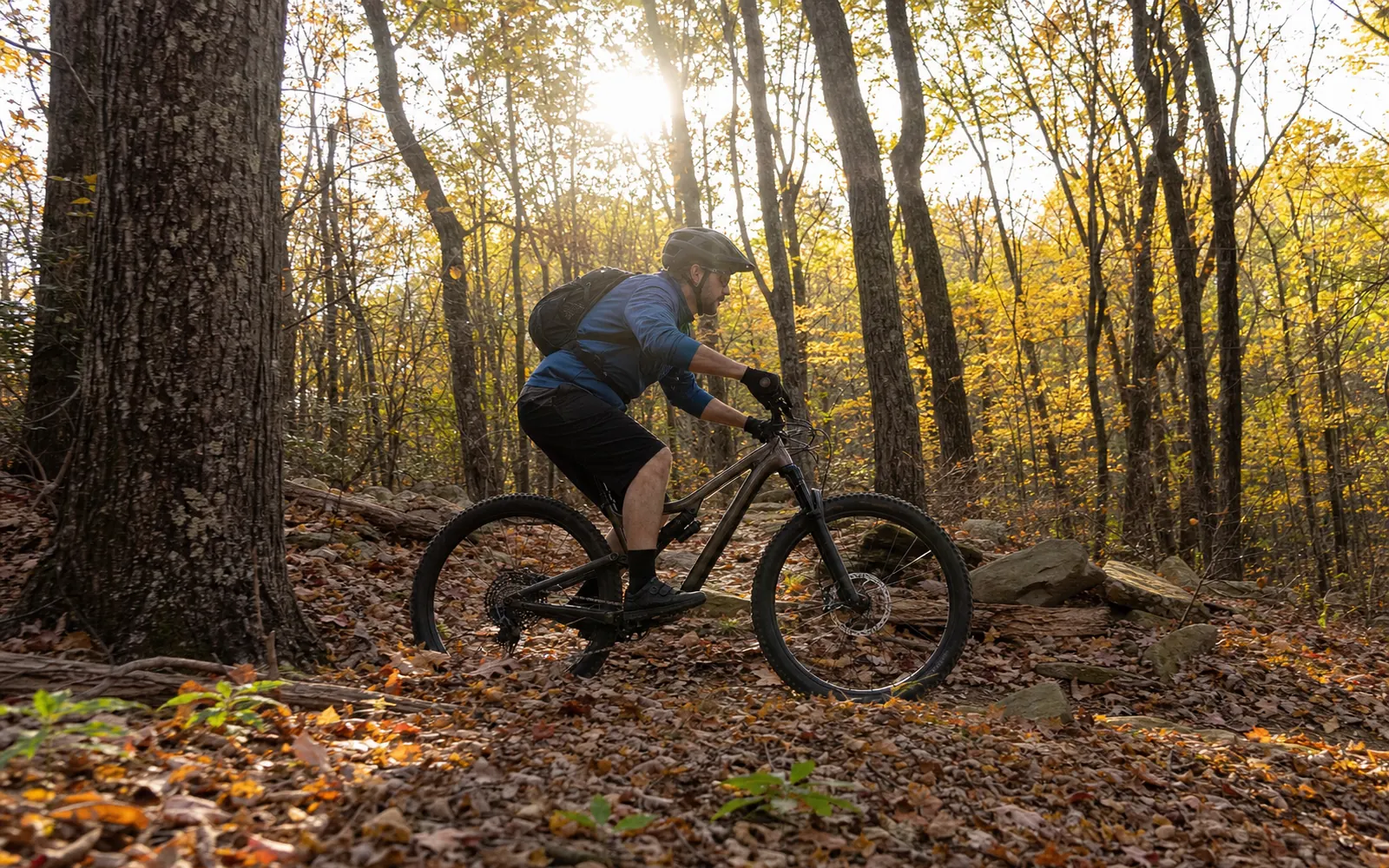 An adult mountain biker in a helmet riding through fallen leaves on a flowing singletrack in hardwood forest, AI-generated illustration