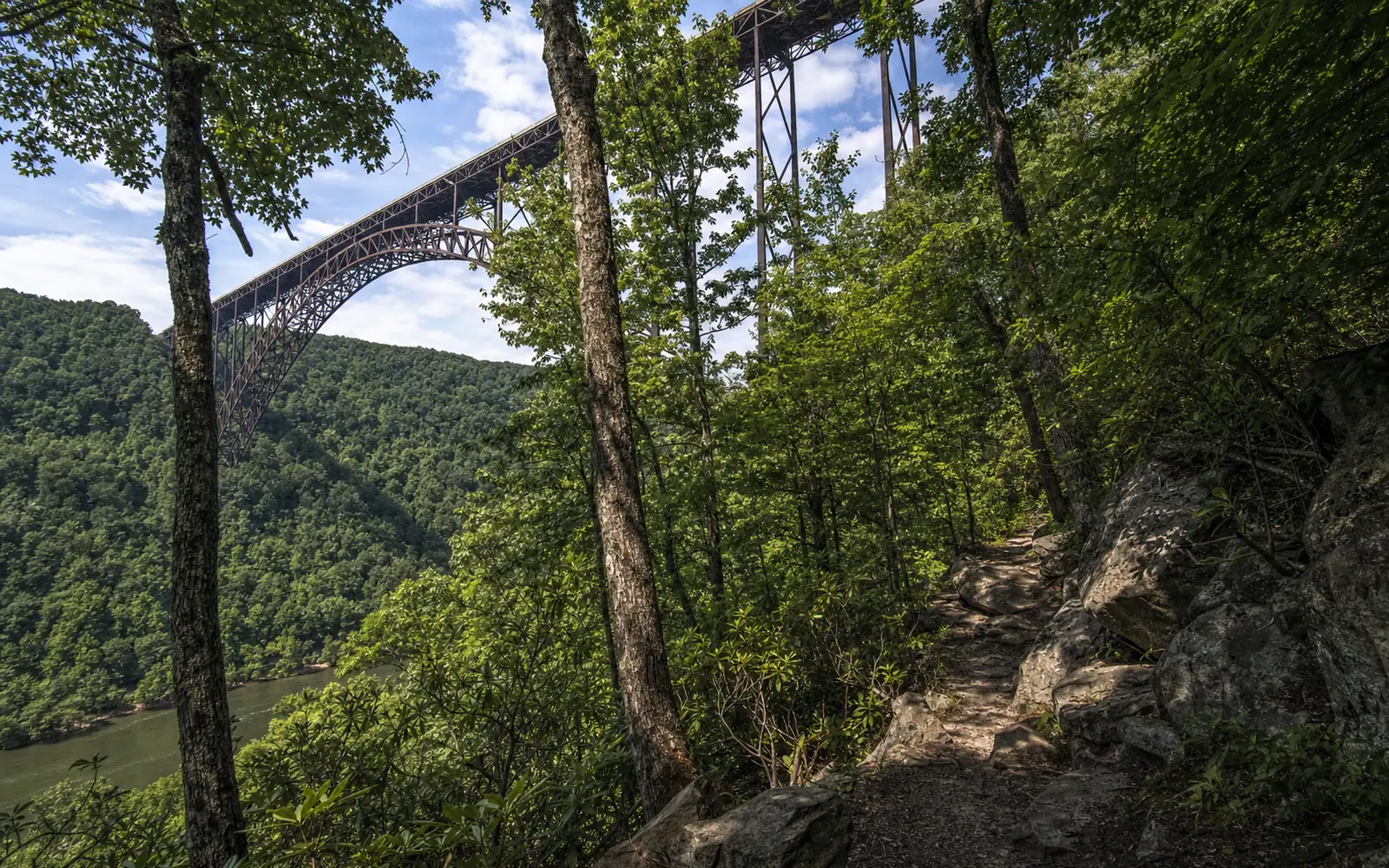 A rocky forest trail along the gorge rim with the steel arch of the New River Gorge Bridge rising above the trees and the river below, AI-generated illustration