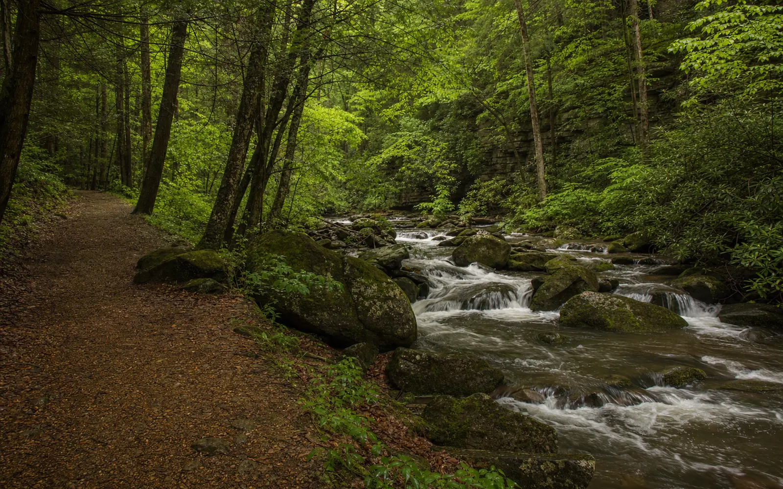 Glade Creek tumbles over mossy boulders under hemlocks beside a flat old railroad-grade trail, AI-generated illustration