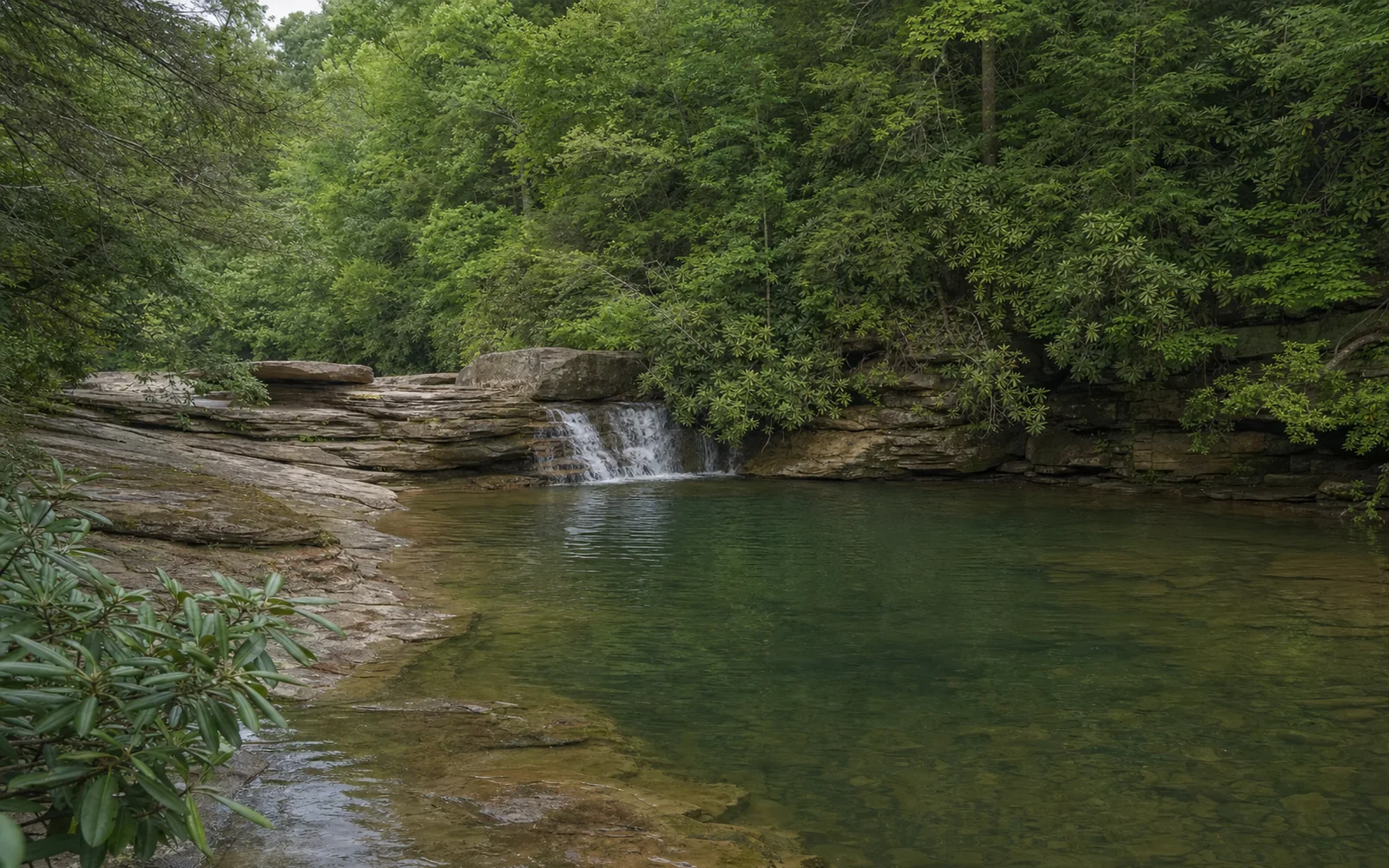 A deep green pool on Glade Creek below a small sandstone cascade, rhododendron and hemlock on the banks, AI-generated illustration