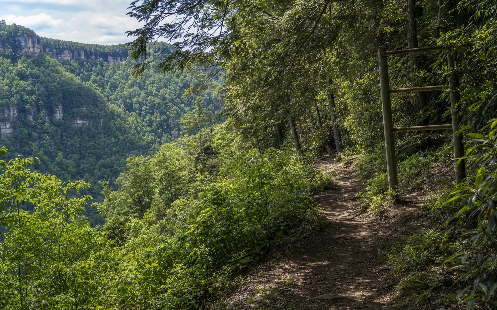 A dirt footpath runs along the rim of Endless Wall through rhododendron and hemlock, with the cliff edge dropping away to the gorge on the left, AI-generated illustration
