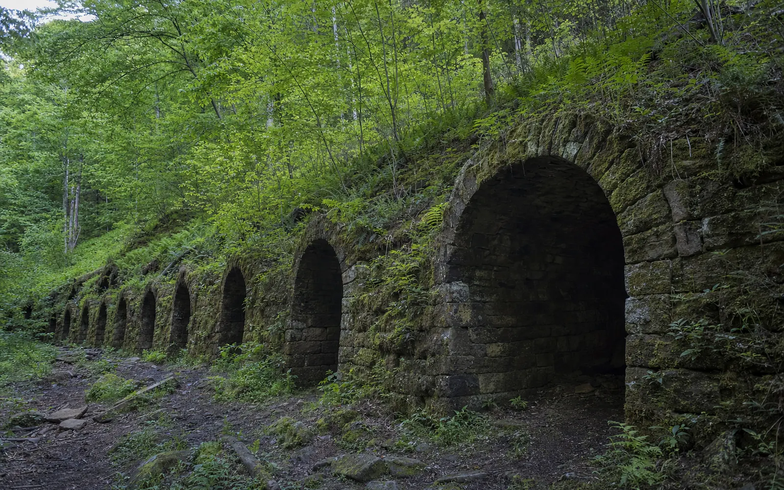 A long row of arched brick beehive coke ovens half buried in the hillside at the bottom of the Kaymoor Miners Trail, ferns and young trees growing on them, AI-generated illustration