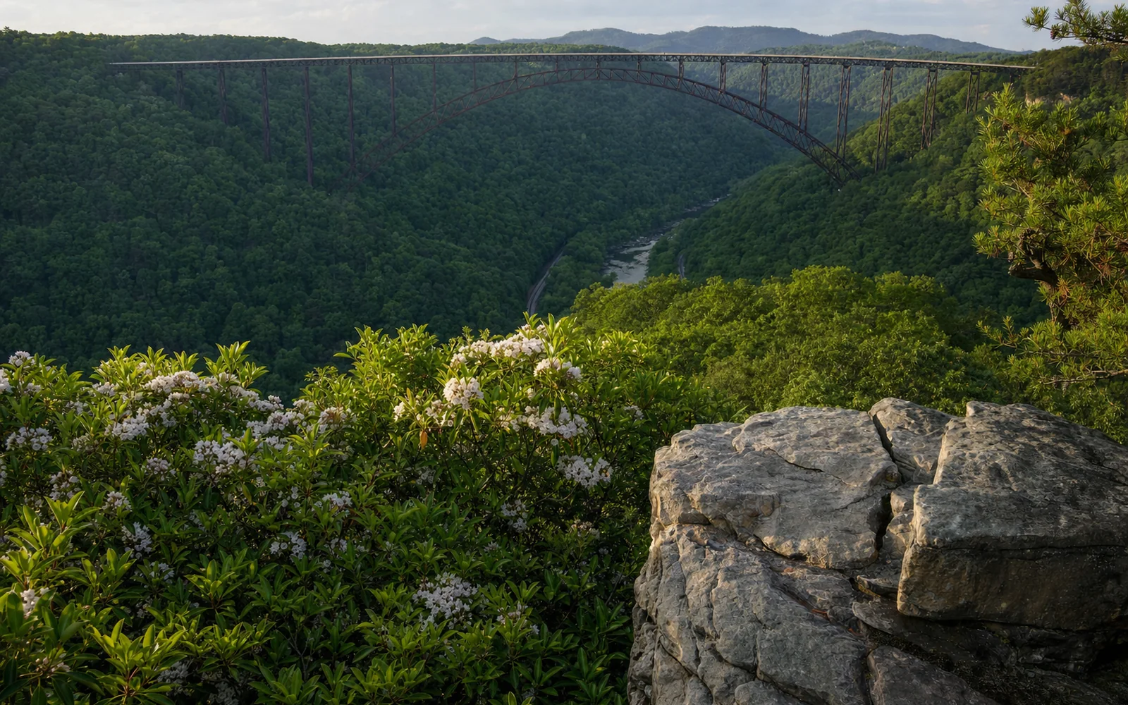 Mountain laurel blooming around the sandstone rock point at the end of the Long Point Trail, the New River Gorge Bridge straight ahead across the gorge, AI-generated illustration